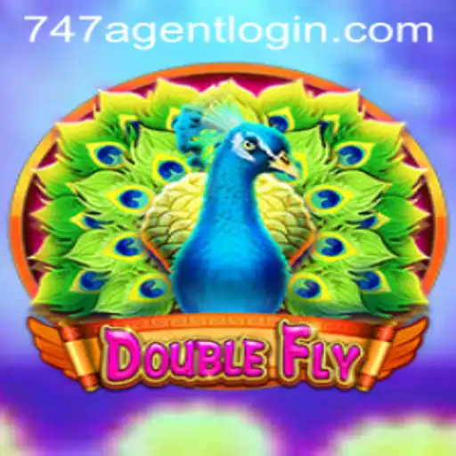 DoubleFly: Navigating Through the Virtual Skies